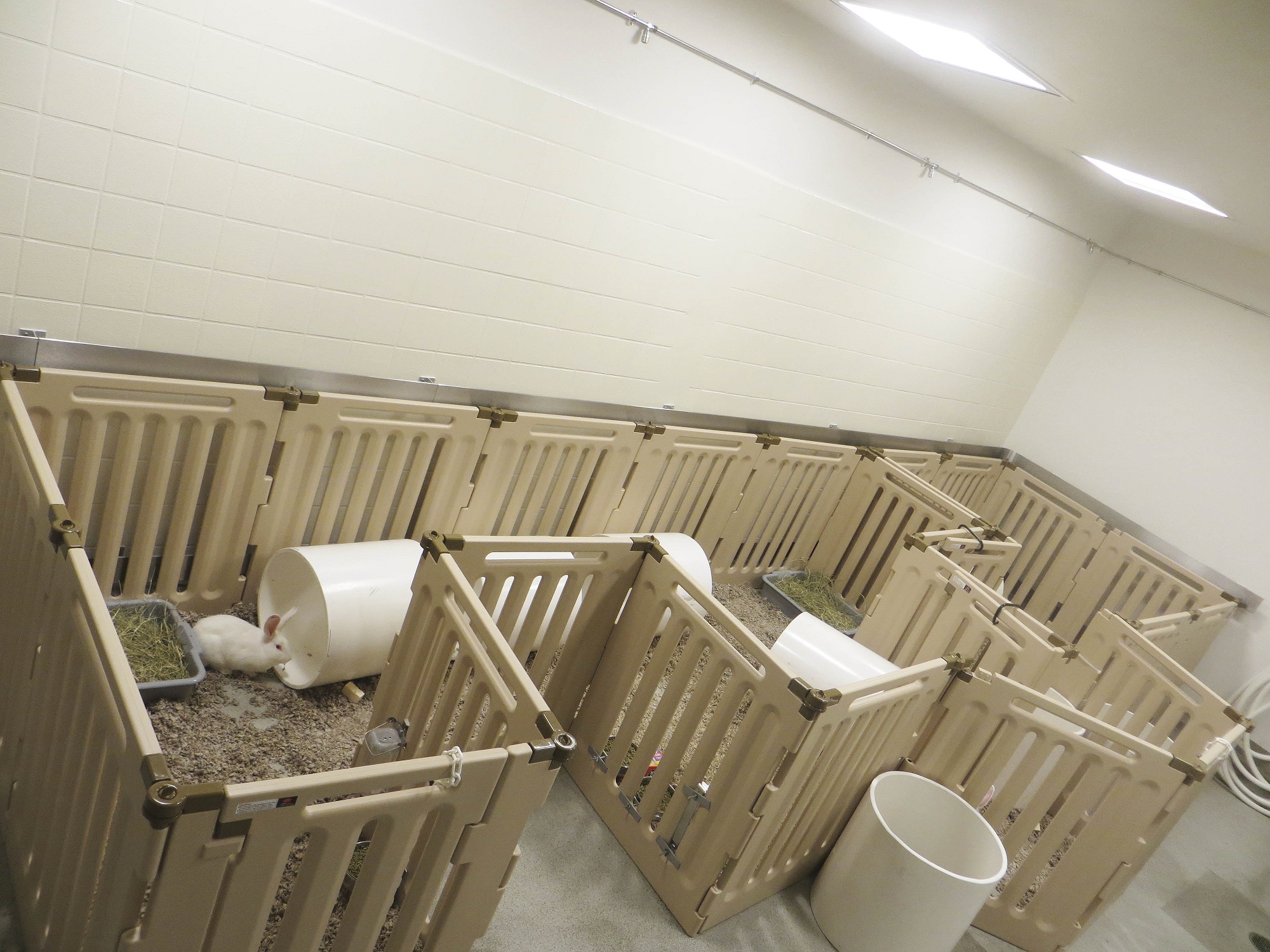 Research rabbit housing Come See Our World